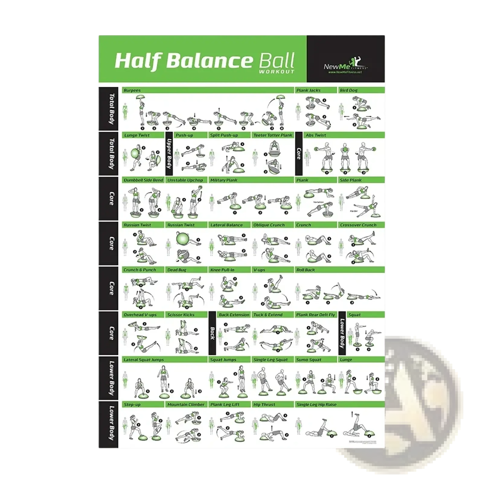 Green and white half balance ball workout pilates exercise chart canvas wall art fitness poster with illustrated routines