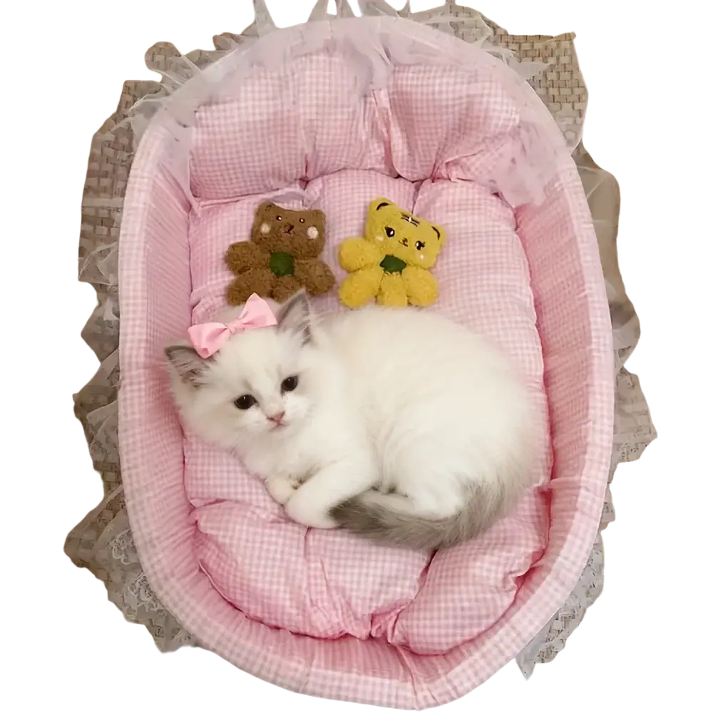 Pink checkered cat sofa bed with ruffled lace trim and two plush bear toys for pet comfort and decor