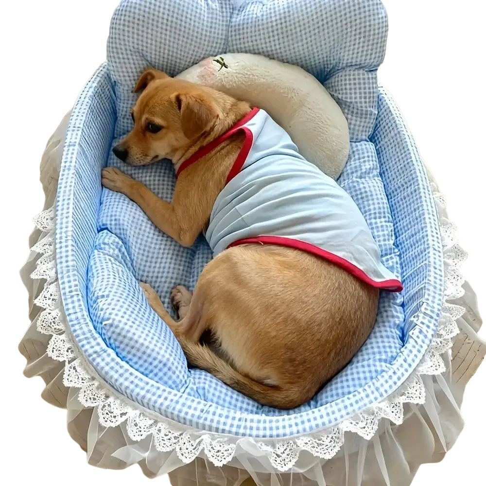 Blue and white gingham cat sofa bed with ruffled lace trim designed for comfortable pet lounging