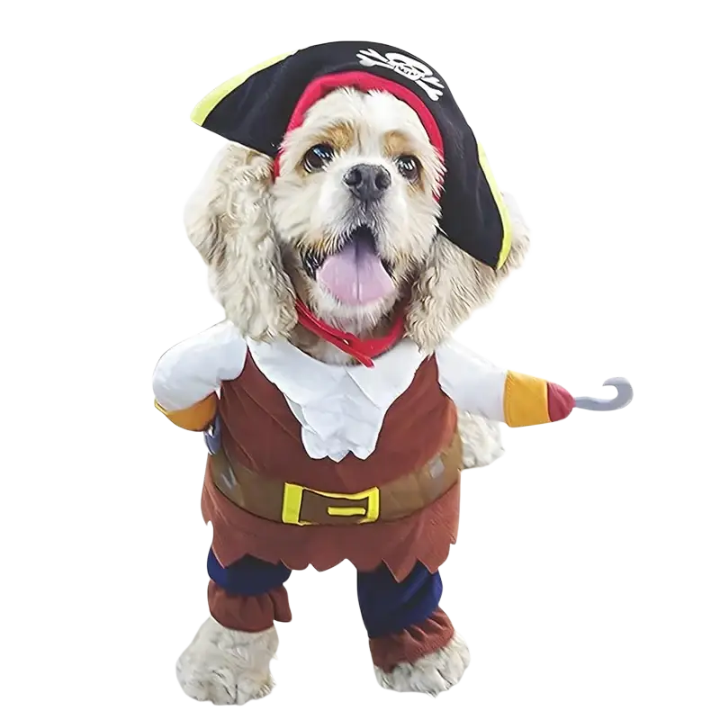 A fluffy dog wearing a pirate dog costume with black tricorn hat, brown vest, blue pants, yellow buckle, and plastic hook