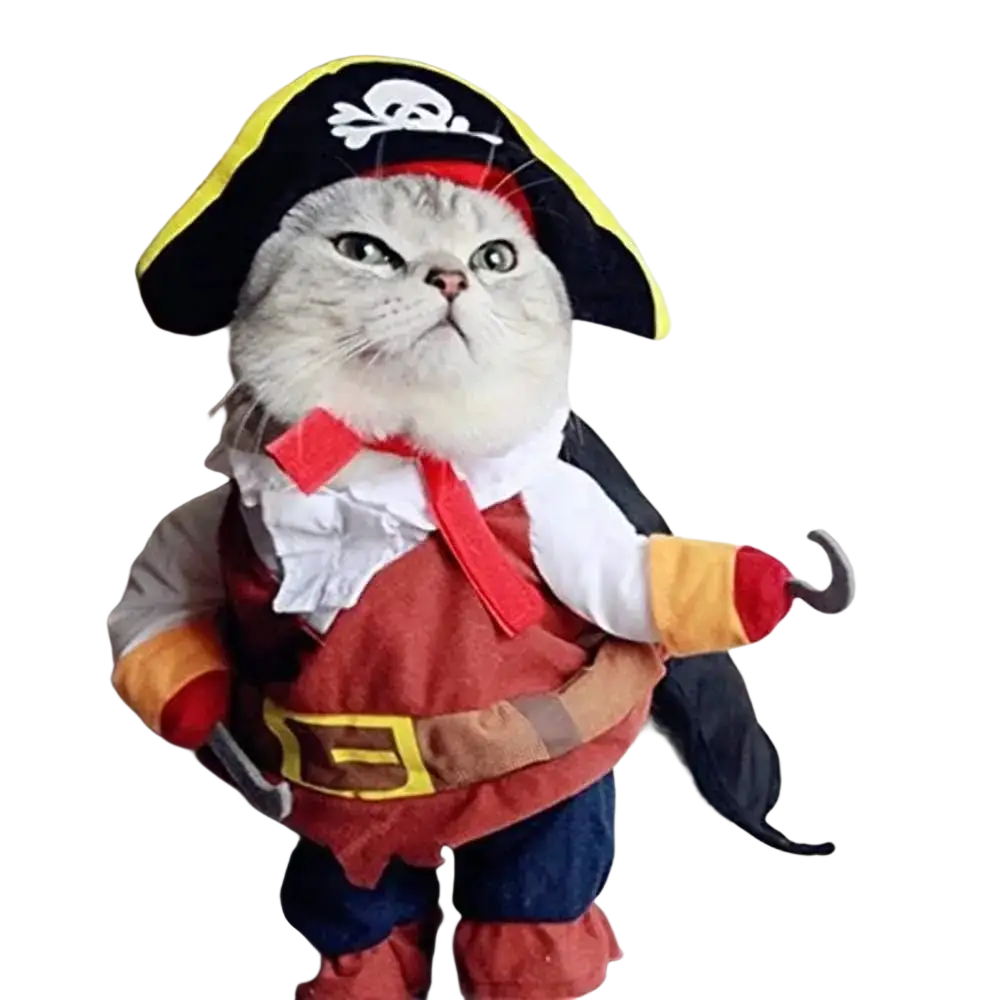 A fluffy gray cat wearing a pirate dog costume with black tricorn hat skull crossbones and colorful detailed outfit