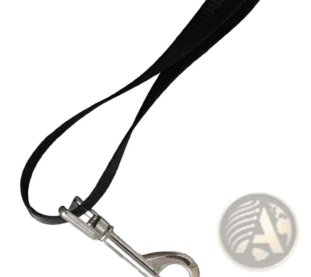 Black leather leash with silver metal clasp shown with plaid pet carrier bag breathable travel dog purse