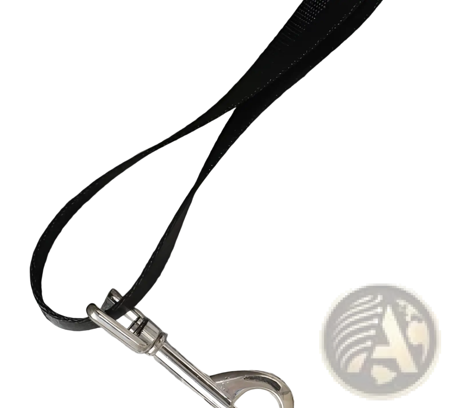 Black leather leash with silver metal clasp shown with plaid pet carrier bag breathable travel dog purse