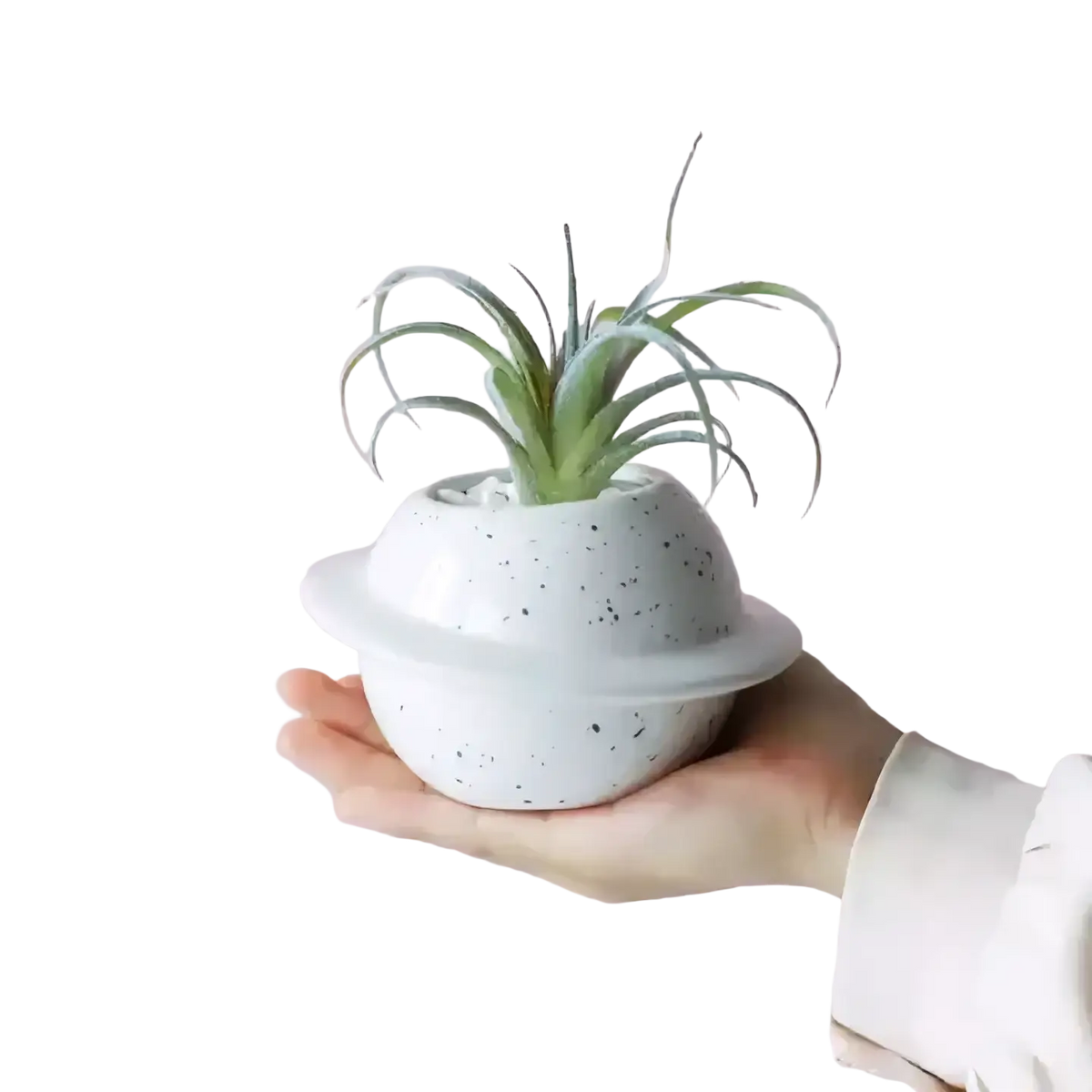 A speckled white ceramic planet planter with a ring holding a green air plant for desktop use