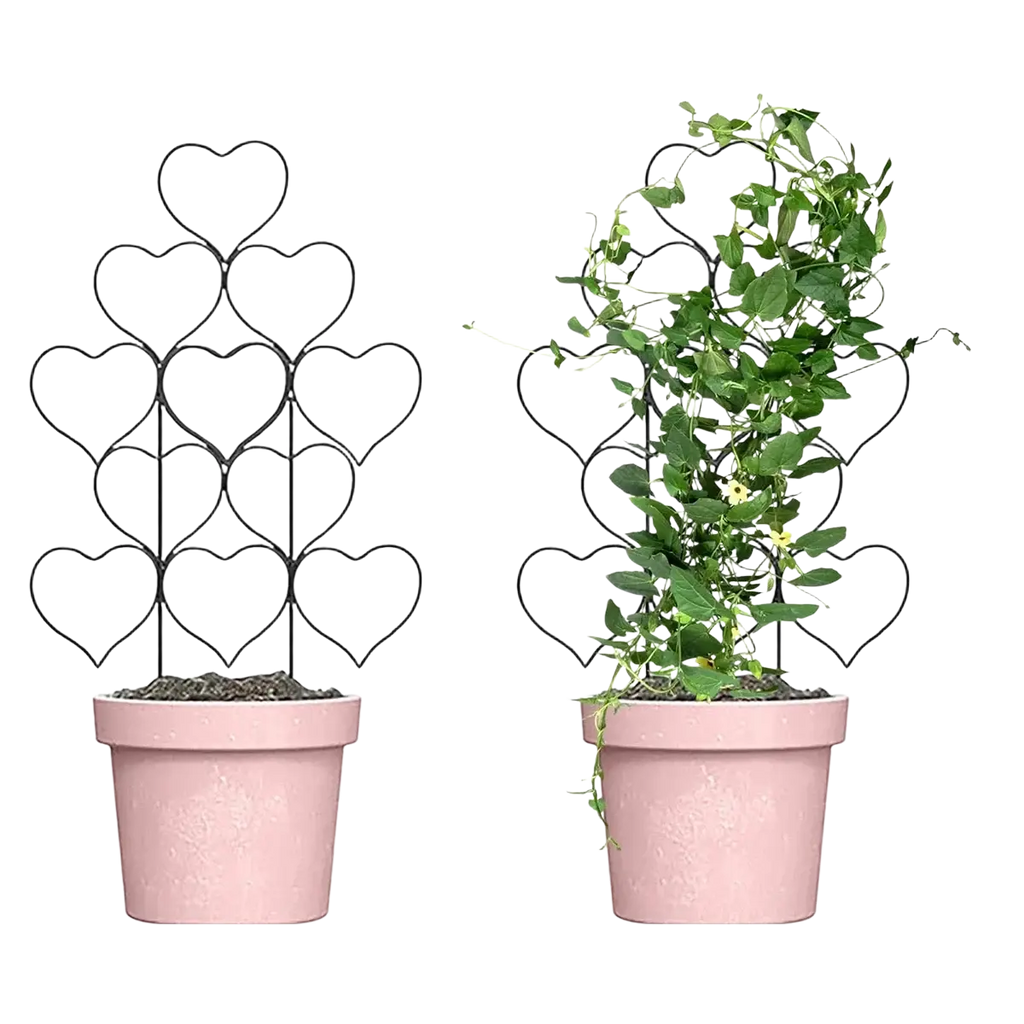 Black heart-shaped metal trellis in pink pot designed as plant support for climbing plants and plants accessories