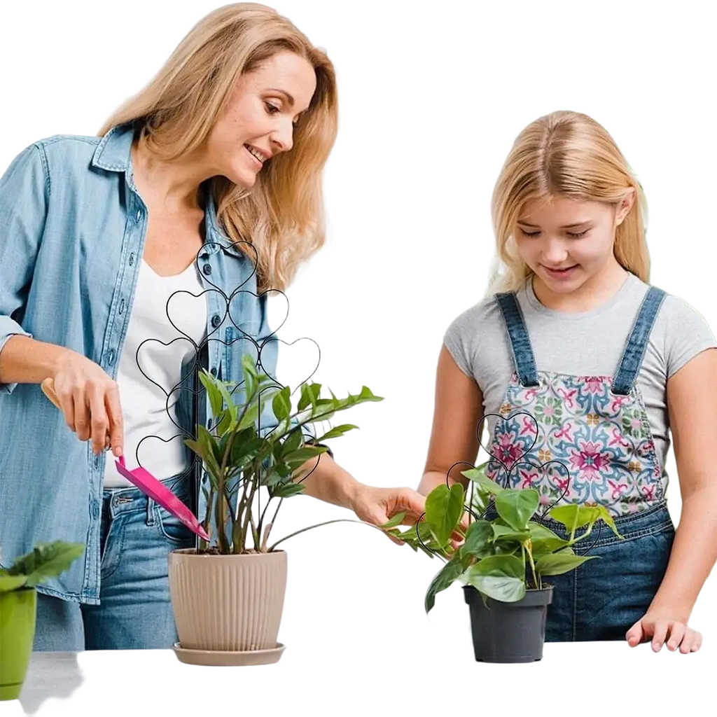 Black heart-shaped metal plant support trellis for climbing plants and plants accessories