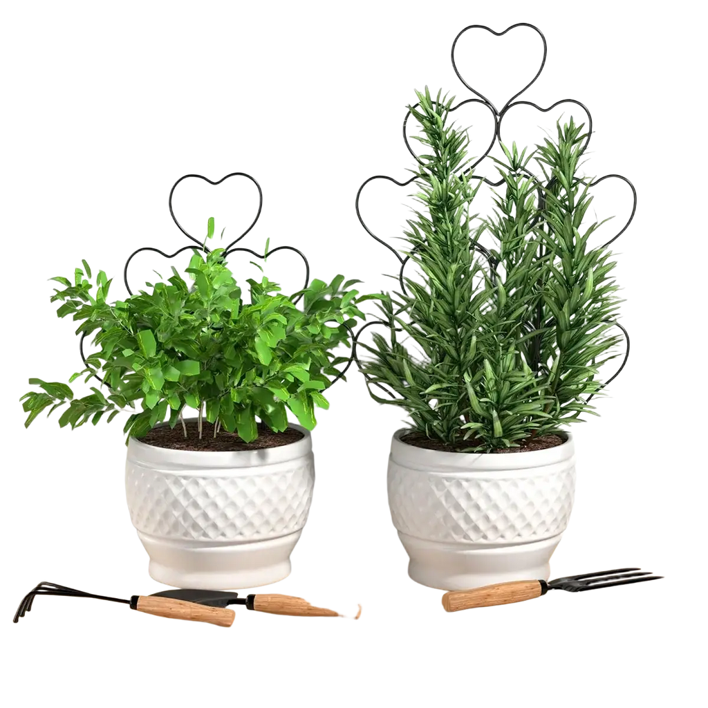 White ceramic planters with diamond texture holding green herbs supported by black metal heart trellis plant support for climbing plants