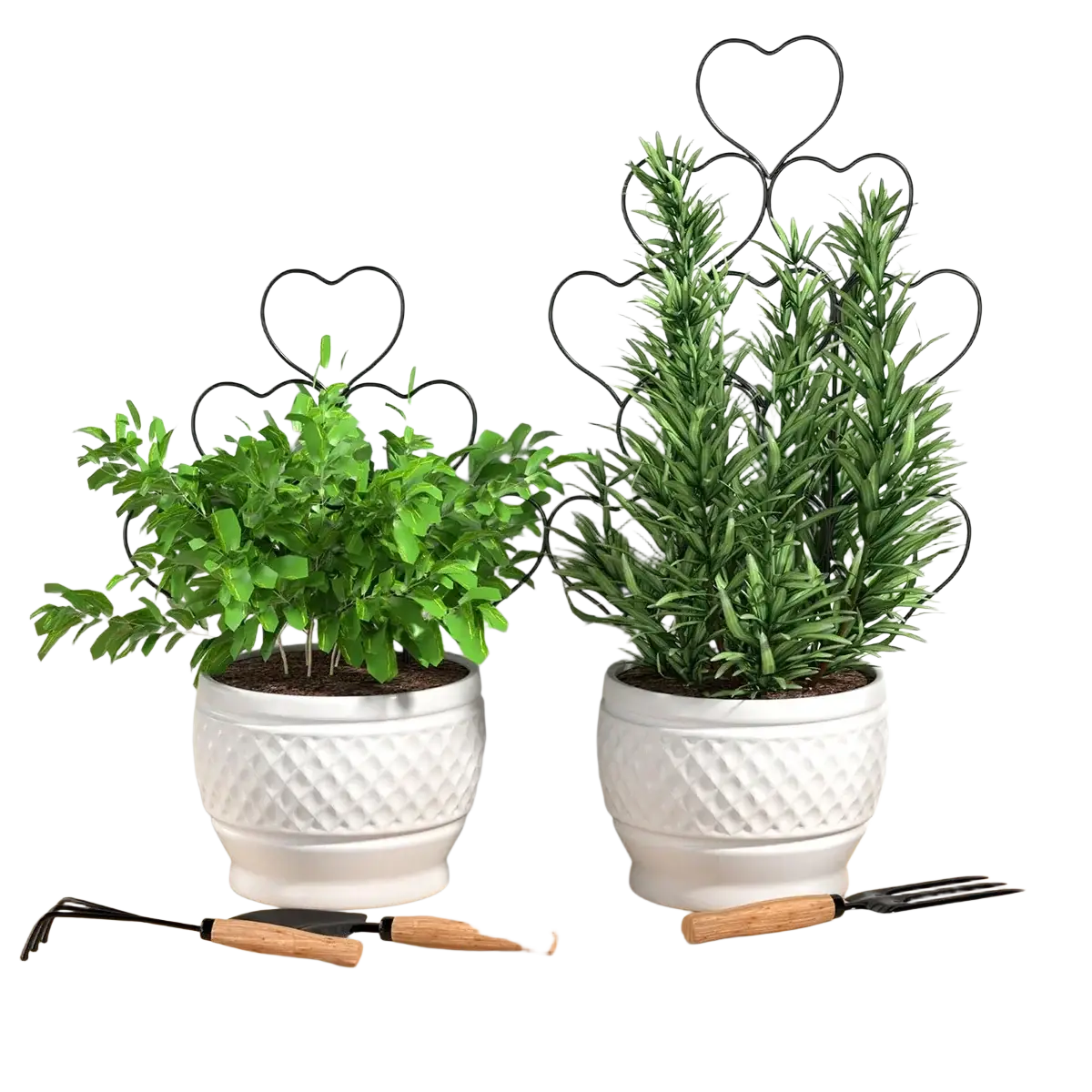 White ceramic planters with diamond texture holding green herbs supported by black metal heart trellis plant support for climbing plants