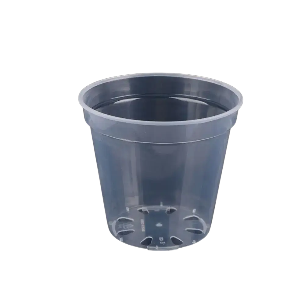 Clear plastic transparent nursery planter pot with smooth cylindrical shape and reinforced rim for plant growing