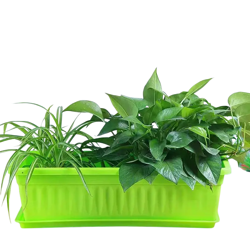 Bright lime green rectangular plastic planting pot with vertical ridged texture holding lush green leafy plants