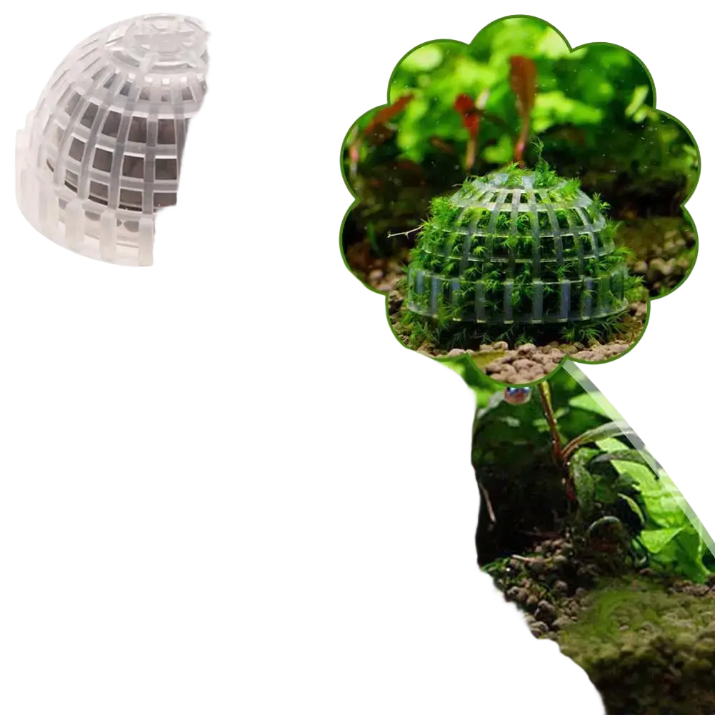 Clear plastic dome-shaped aquarium moss ball holder and filter dome with grid pattern for aquatic plant growth