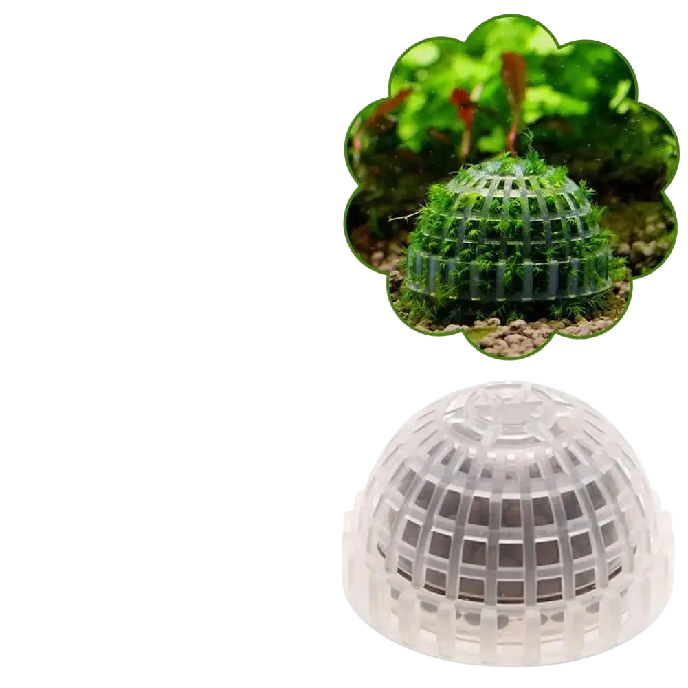 Clear plastic dome-shaped plastic aquarium moss ball holder with grid pattern for plant support and filter use