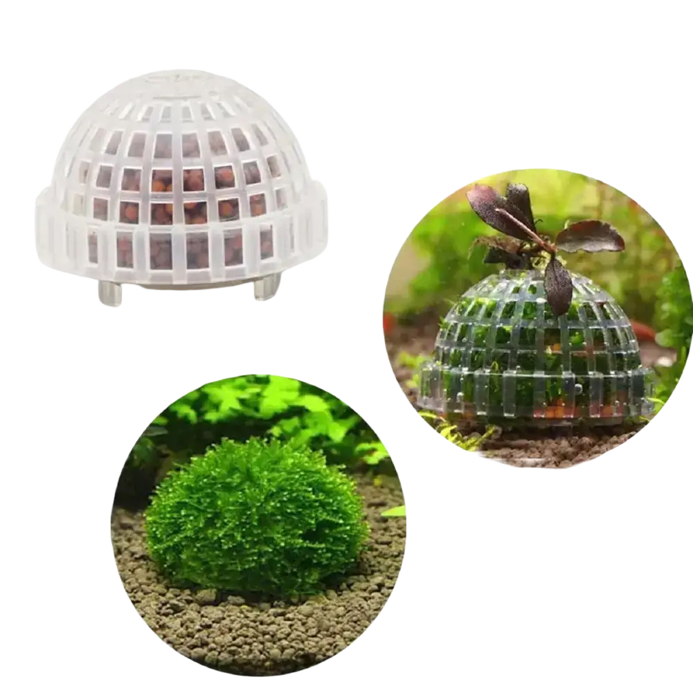 White plastic dome-shaped aquarium moss ball holder with grid pattern and small feet for stable plant anchoring