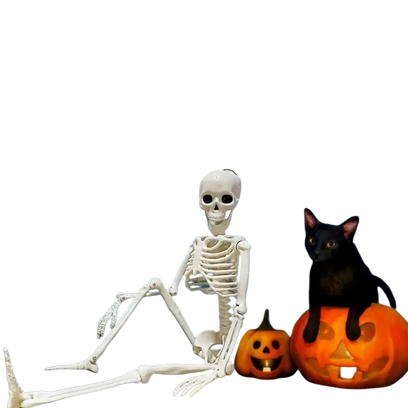 White plastic halloween skeleton decoration with articulated joints and black eye sockets seated beside a carved pumpkin