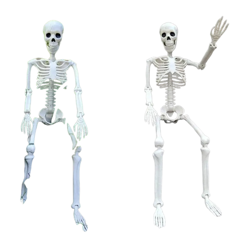 White plastic skeleton toy with articulated joints and black painted eye sockets for Halloween decoration