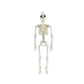 White plastic Halloween skeleton decoration toy 15.7 inches tall with articulated joints and detailed bone structure