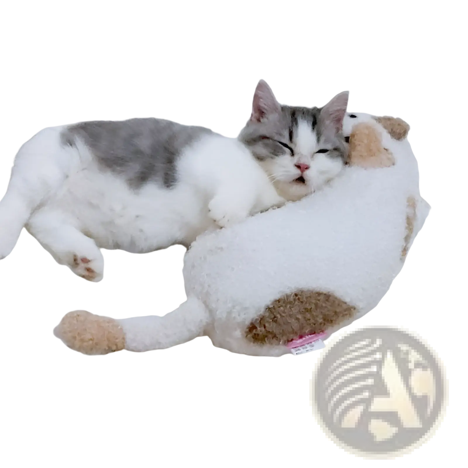 A fluffy white and gray tabby cat resting on a plush cat pillow for neck support and joint relief