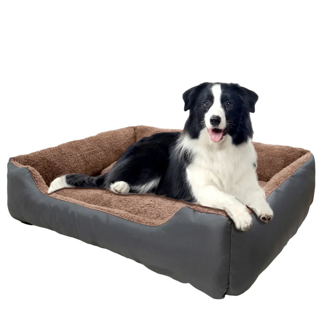 Cozy gray and brown plush dog bed sofa with soft cushioned interior ideal for puppy accessories and comfortable rest