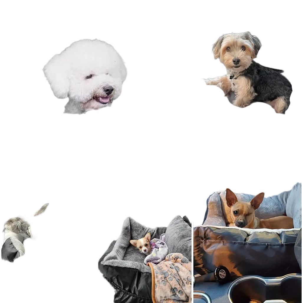 Plush dog car seat for small pets in black and gray with soft fleece lining for comfortable travel