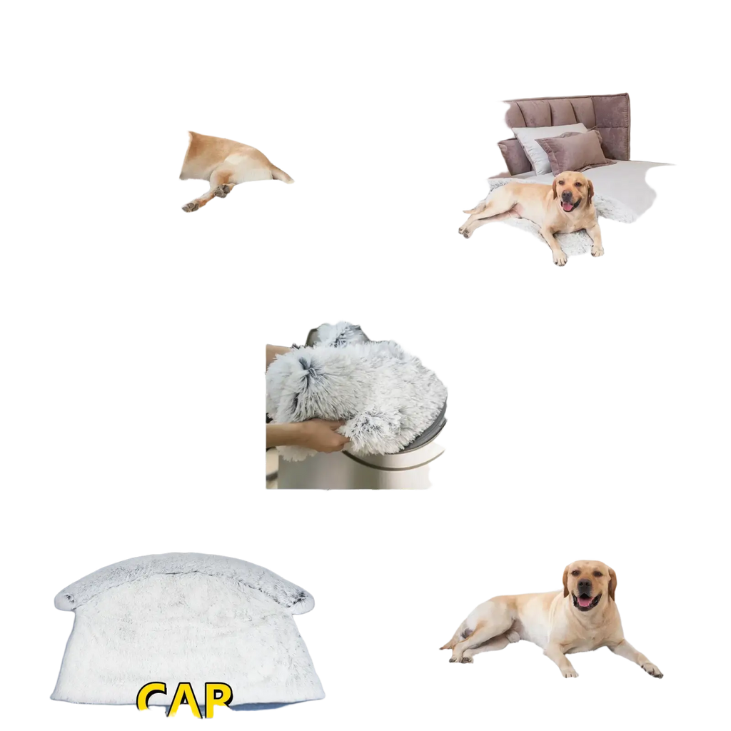 Fluffy white plush faux fur dog bed blanket designed for couch bed car trunk or floor use washable and warm nest