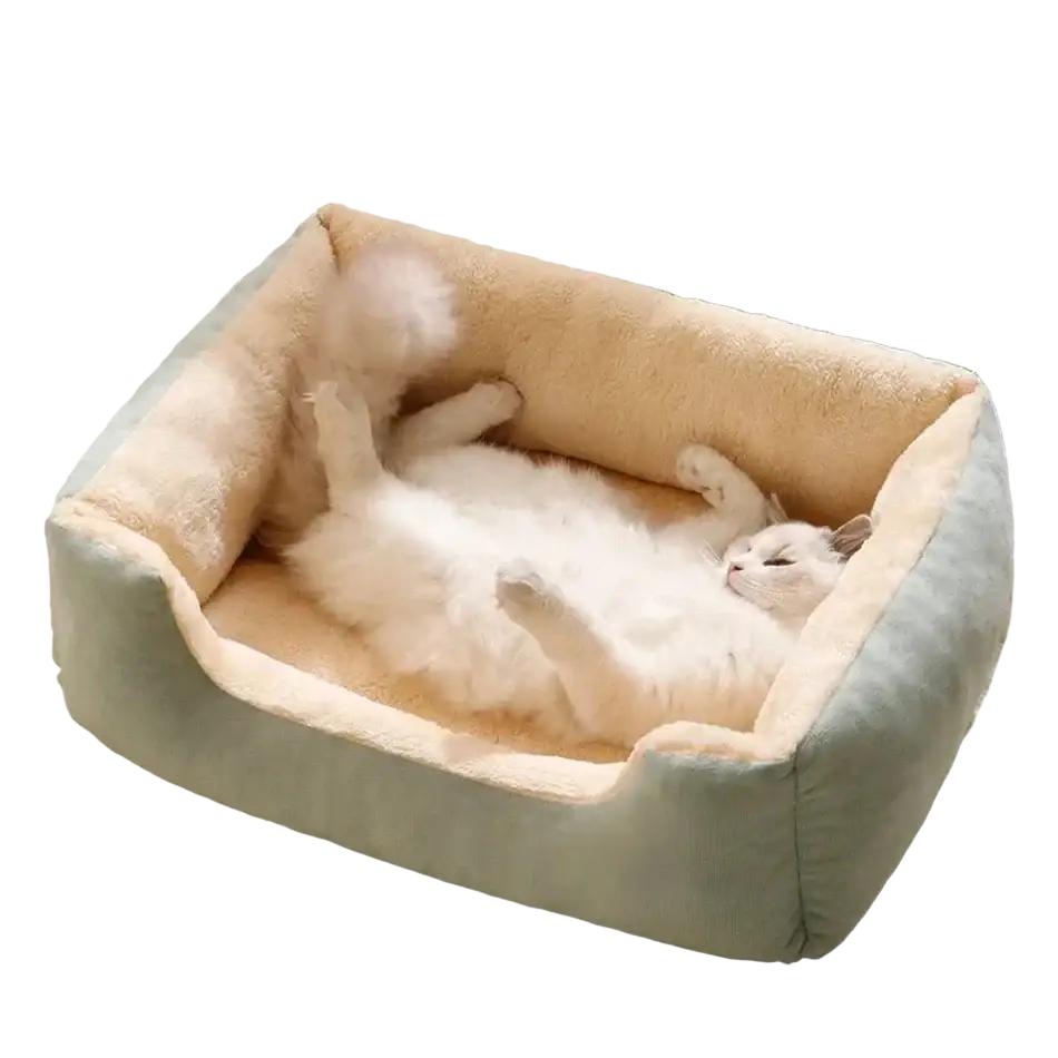 Plush rectangular cat bed with soft plush exterior in muted sage green and warm beige interior lining for pets