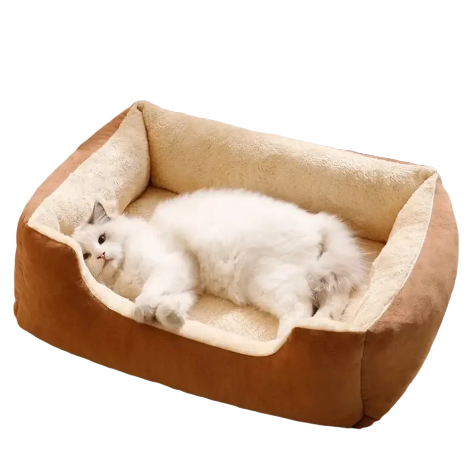 Plush rectangular cat bed with a soft brown exterior and cream-colored plush interior for pet comfort
