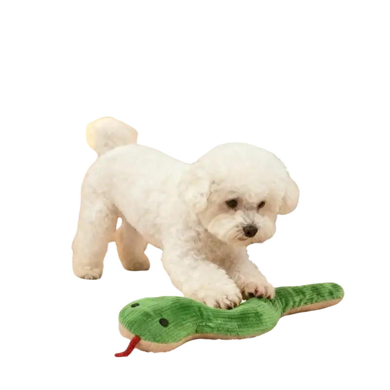 Green plush snake toy with black eyes and red tongue designed as an animal toys type for pet chewing