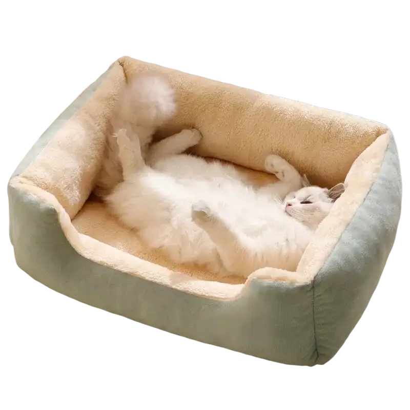 Plush square pet bed mat with a cozy mint green exterior and a plush cream-colored interior lining
