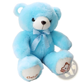 A soft light blue plush teddy bear with a white snout black button eyes and a matching sheer bow tie