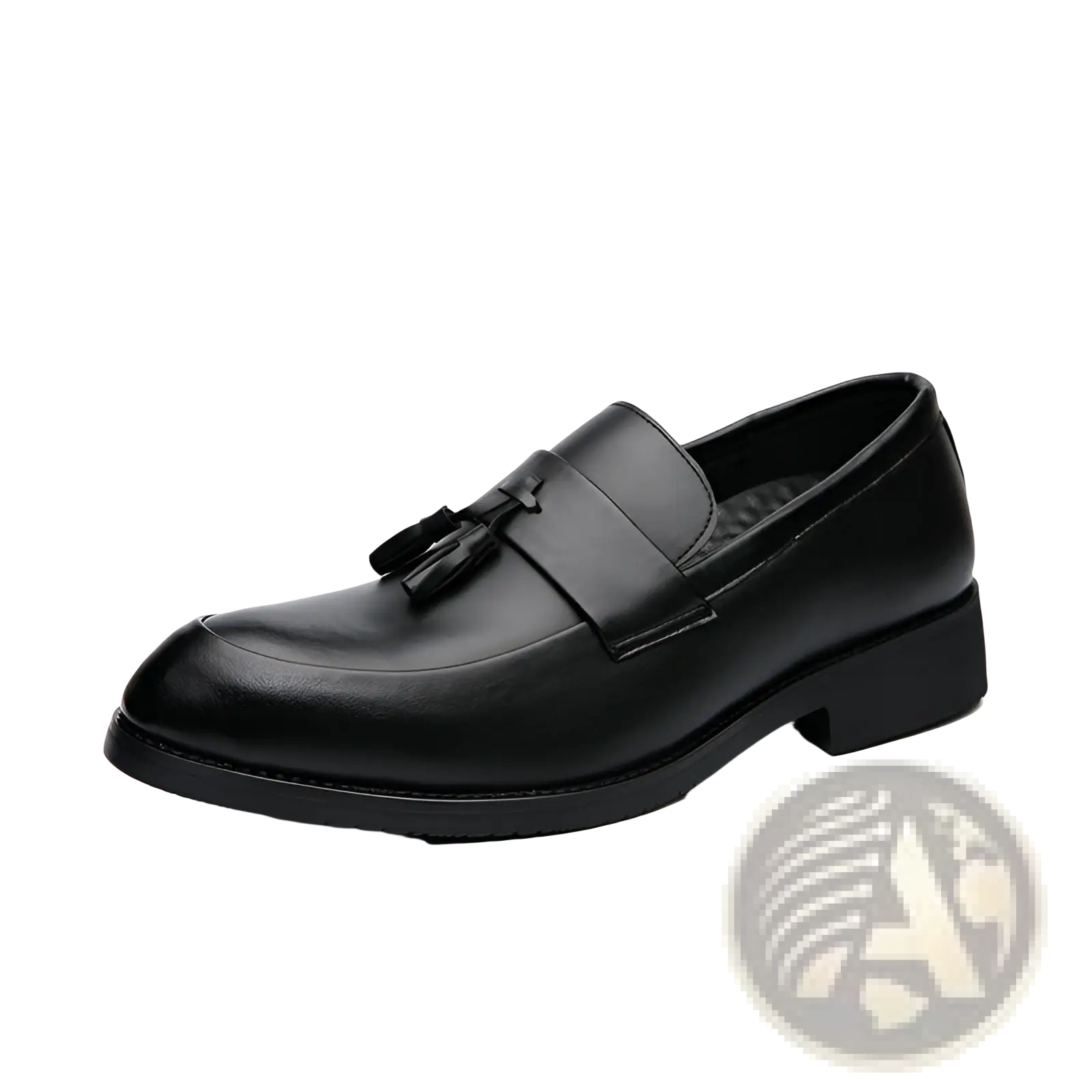 Polished leather tassel loafers for men featuring black leather with a polished finish and low heel