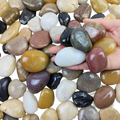 A hand holds polished river rocks 38lb in various earthy tones including black white brown yellow and gray for decoration