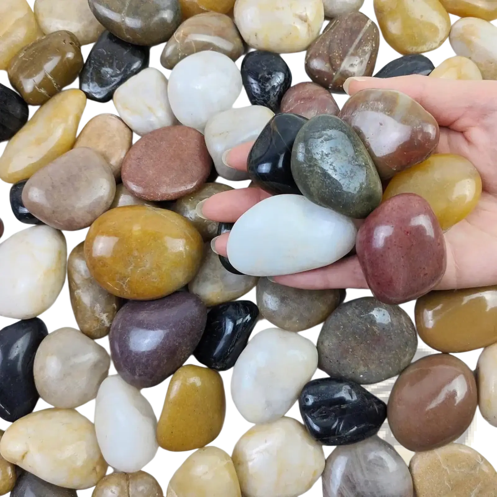 A hand holds polished river rocks 38lb in various earthy tones including black white brown yellow and gray for decoration