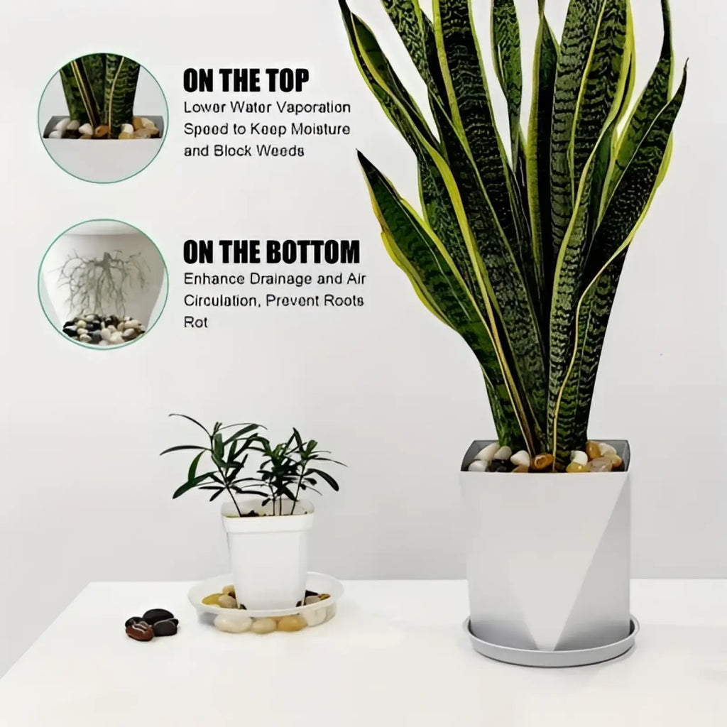 A modern white geometric planter with matching saucer filled with polished river rocks and a tall snake plant