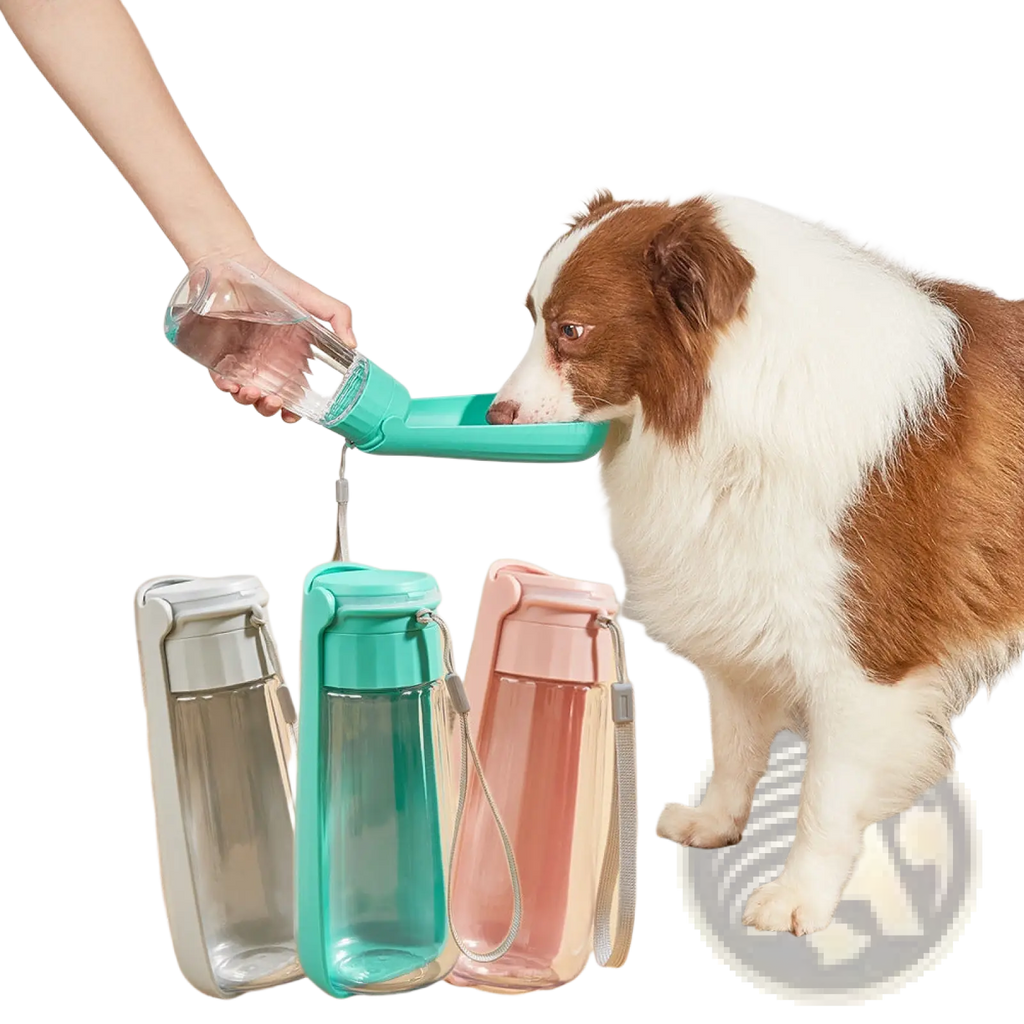 Teal portable dog water bottle 550ml with clear glass reservoir and detachable spout for easy pet travel drinking