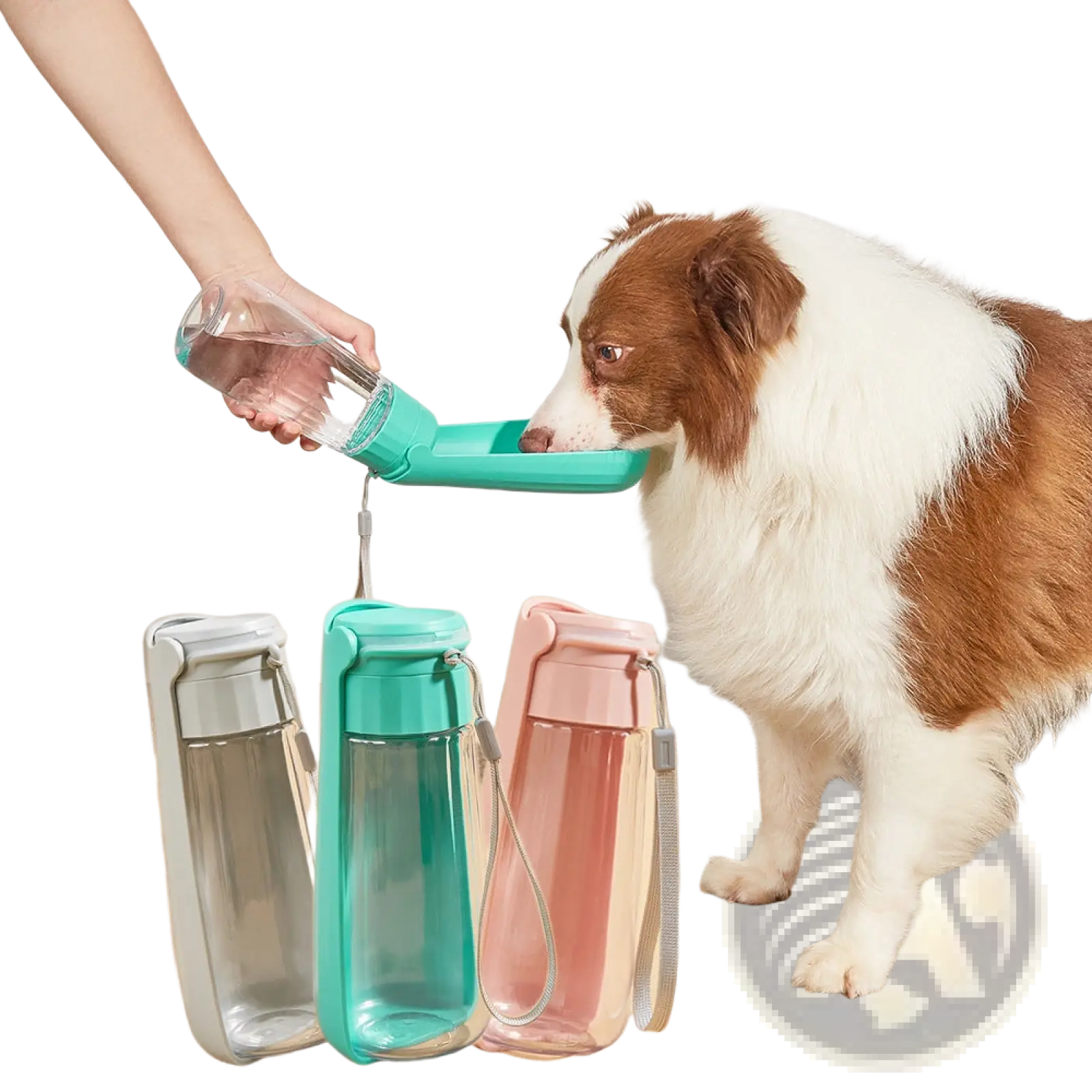 Teal portable dog water bottle 550ml with clear glass reservoir and detachable spout for easy pet travel drinking