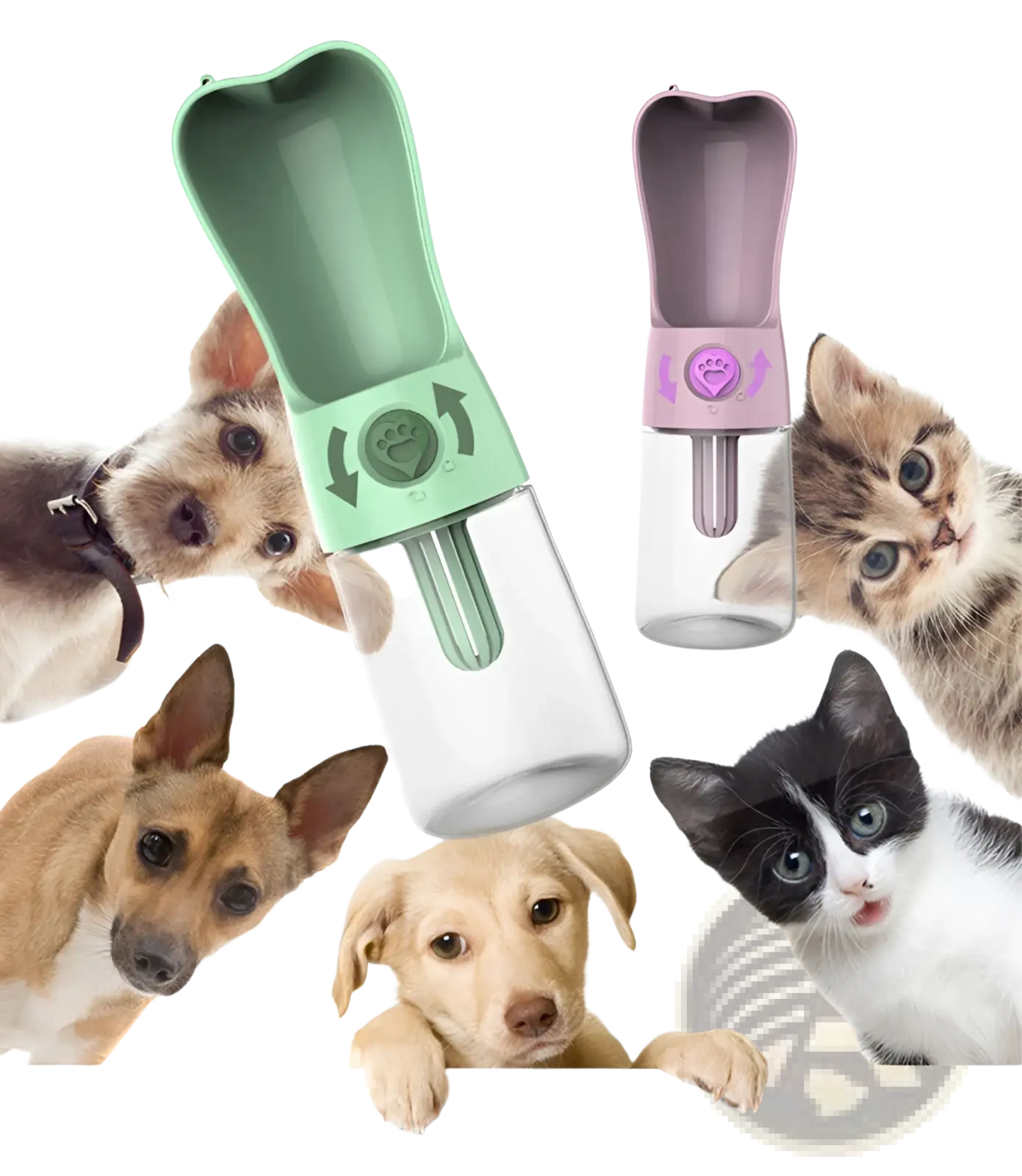 Portable dog water bottles with activated carbon filter in green and purple with clear bases and paw print lids