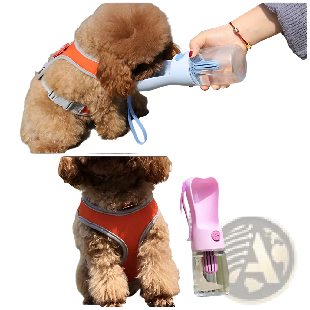 Portable dog water bottle with activated carbon filter in pink and clear plastic with a purple spout and handle