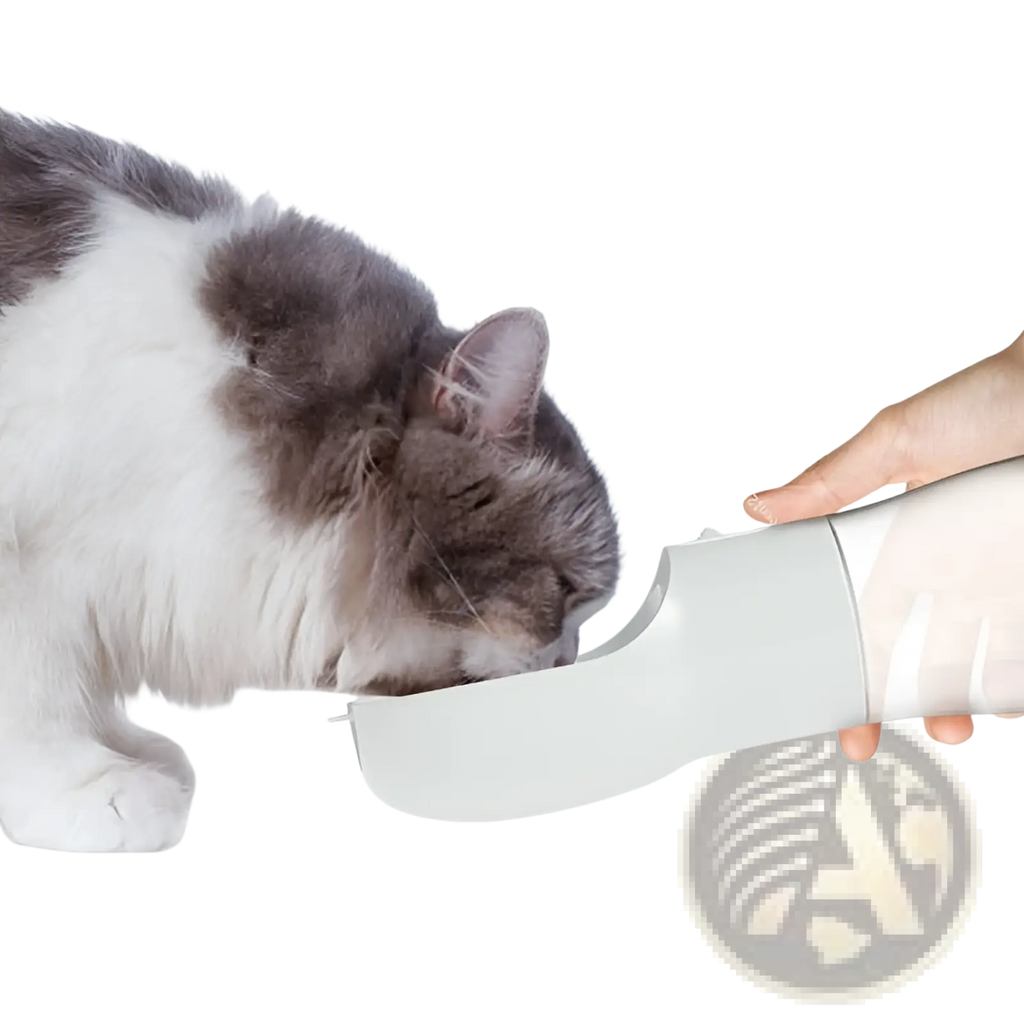 A sleek matte white portable dog water bottle and food dispenser 2 in 1 with a curved spout for easy drinking