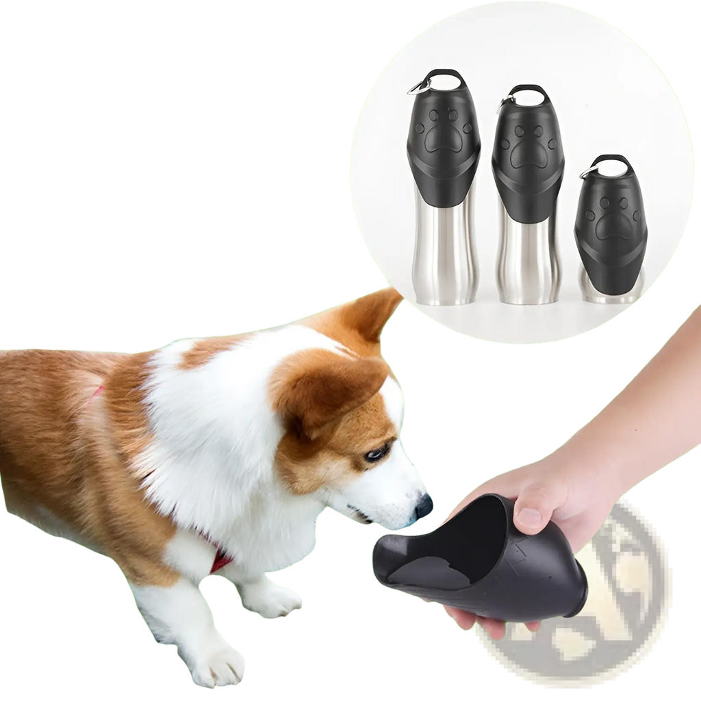 Portable dog water bottle stainless steel pet dispenser with black paw-print design and carrying loop