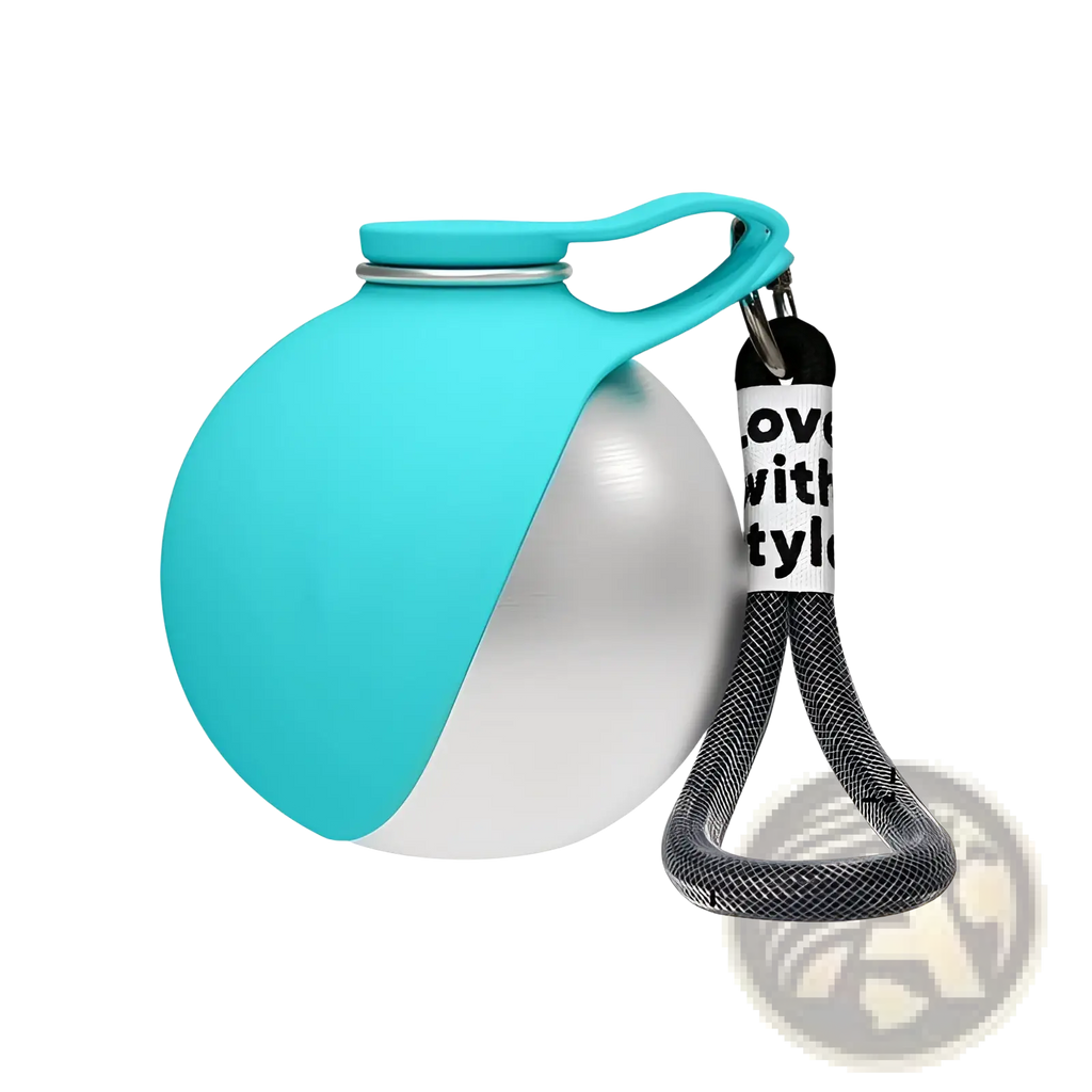 Turquoise and silver stainless steel portable dog water bottle with silicone handle and black braided strap for travel