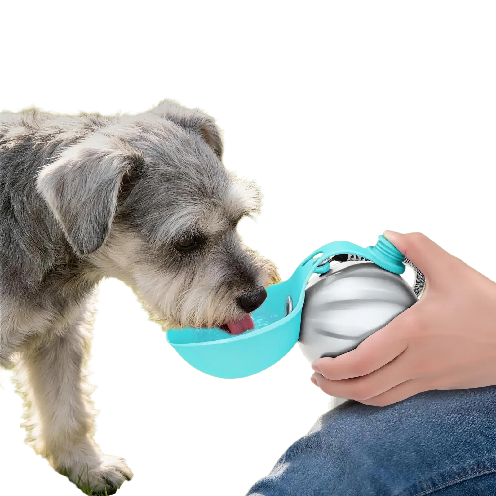 Teal silicone pet water bowl attached to silver 304 stainless steel portable dog water bottle travel dispenser