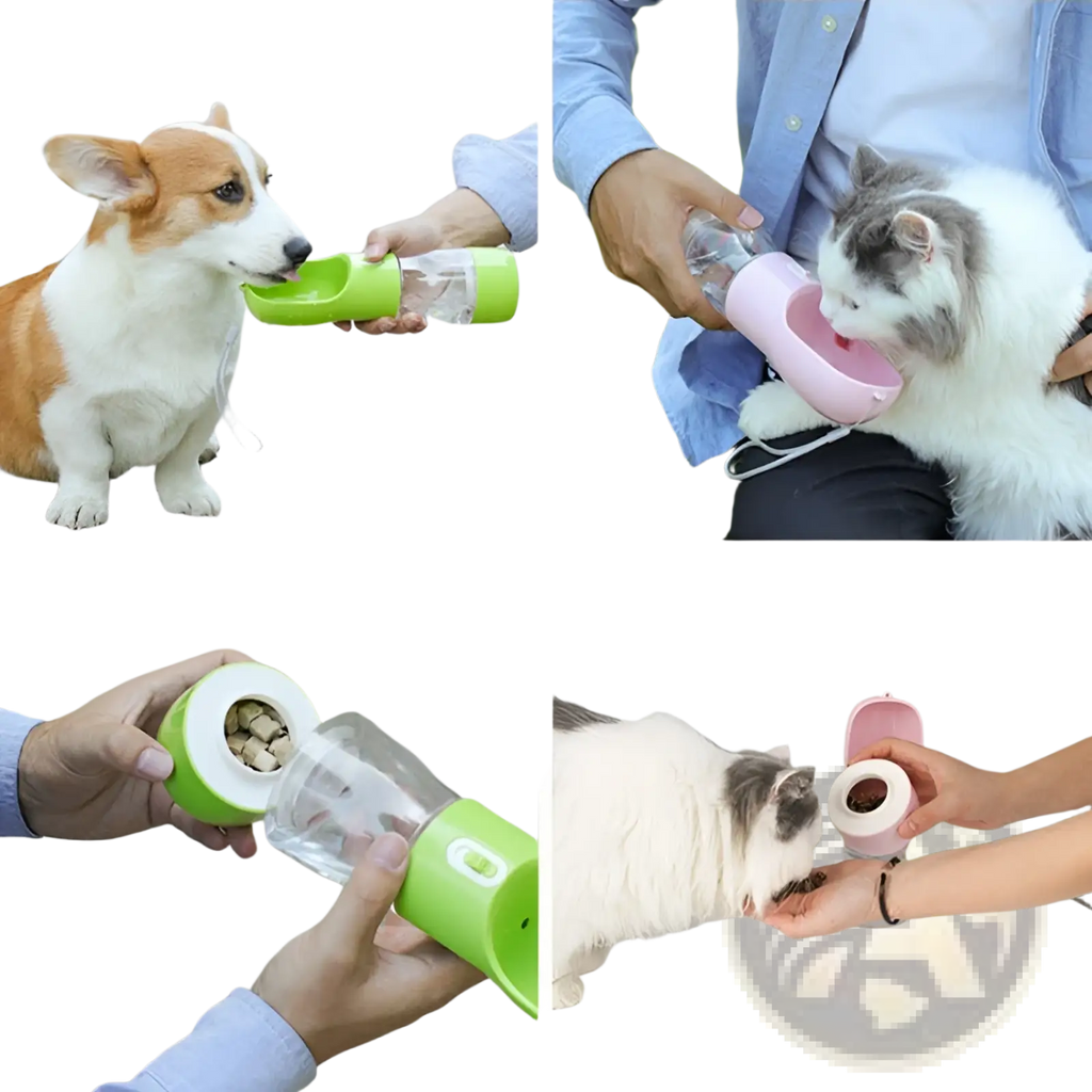 Portable green and clear pet water bottle with wide spout for easy drinking during outdoor walks