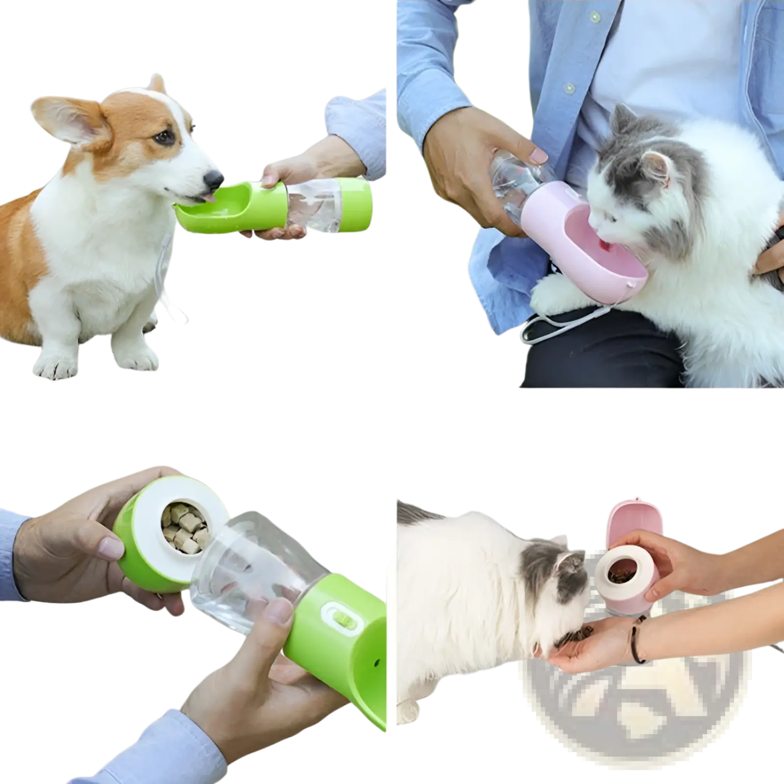 Portable green and clear pet water bottle with wide spout for easy drinking during outdoor walks