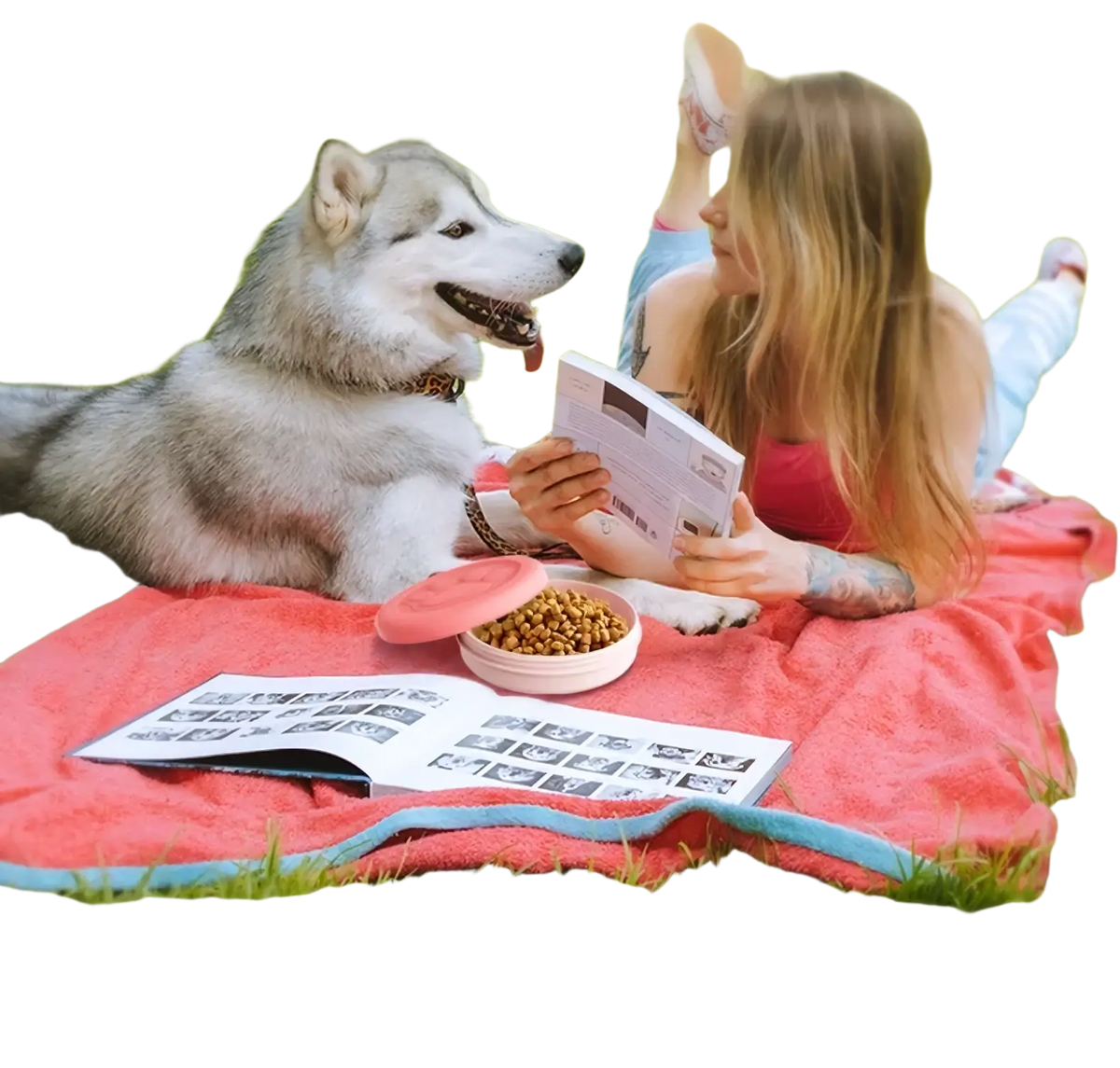 A fluffy gray and white alaskan malamute lies on grass next to a portable travel dog bowl with treat compartment