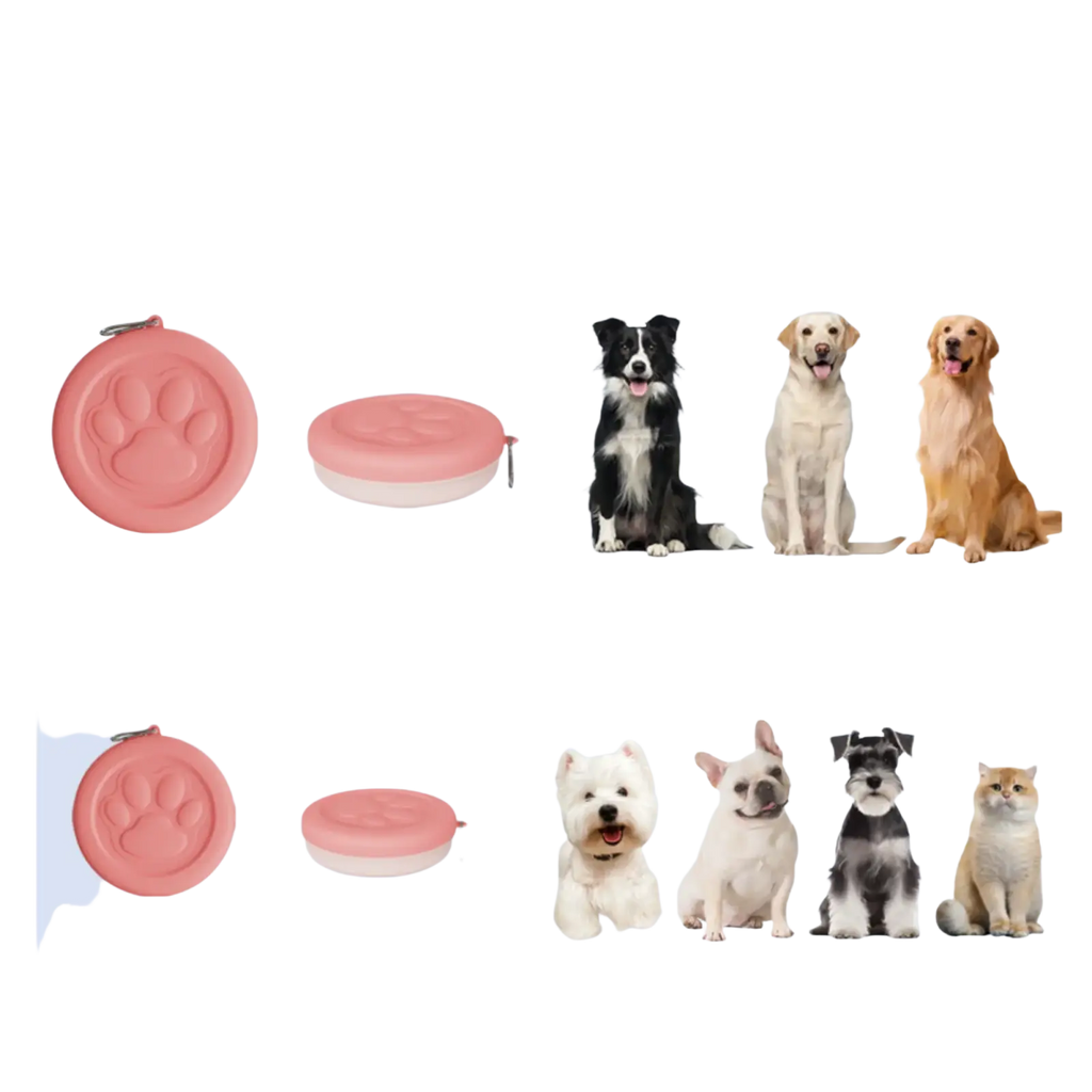 Portable travel dog bowl with treat compartment featuring a pink paw-printed retractable leash and matching collar clip