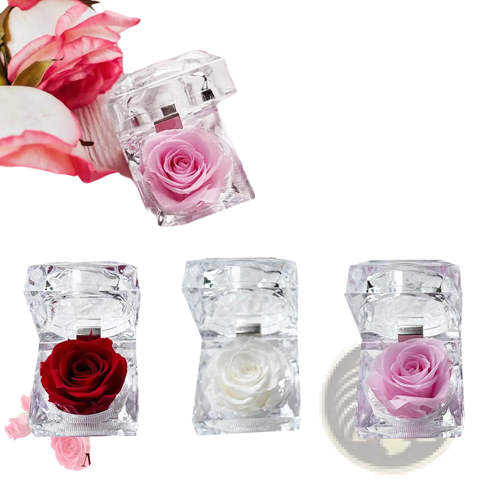 A clear faceted crystal gift box containing a vibrant pink preserved rose from the preserved rose crystal gift box eternal flower collection