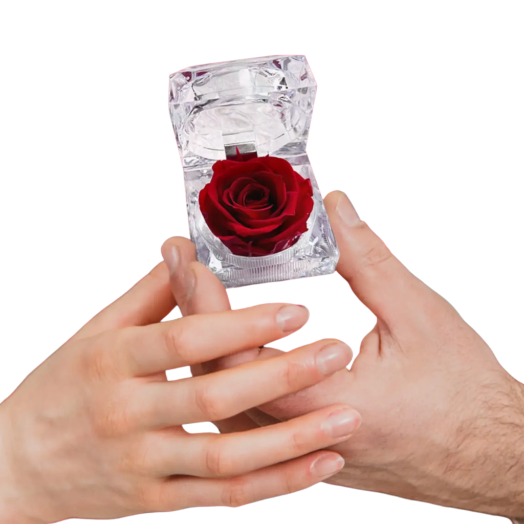 A clear faceted crystal ring box holding a single deep red preserved rose in a preserved rose crystal gift box