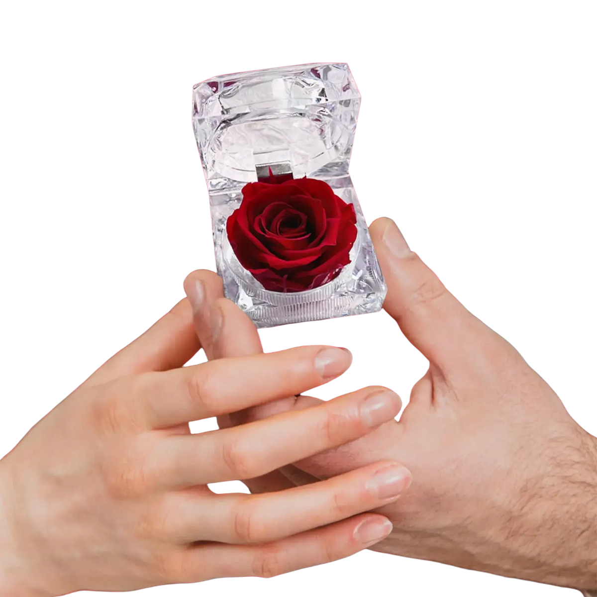 A clear faceted crystal ring box holding a single deep red preserved rose in a preserved rose crystal gift box