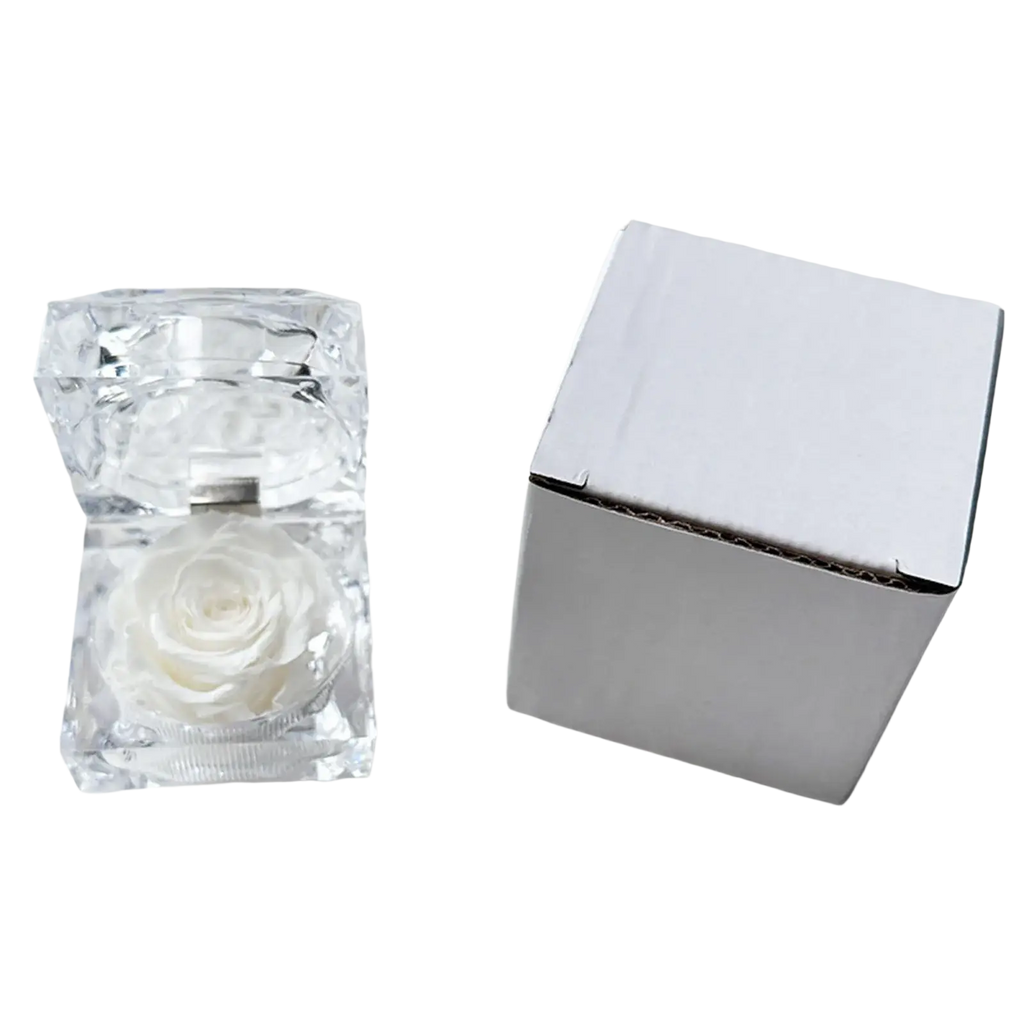 A clear faceted crystal gift box containing a preserved white rose for an eternal flower display