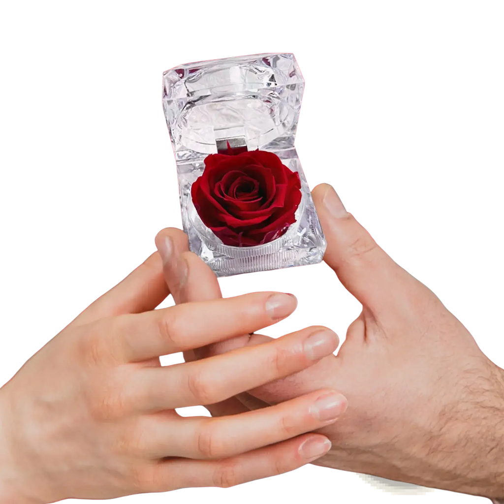 A clear faceted crystal ring box holding a single deep red preserved rose in a preserved rose crystal gift box